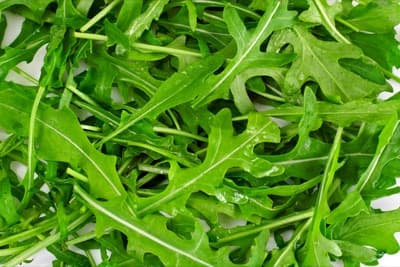Arugula