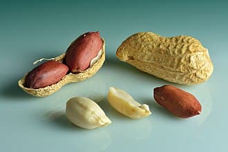 Kacang Tanah