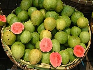 Jambu Batu