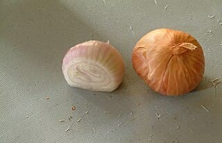 Bawang Kecil
