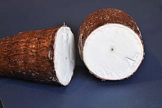 Ubi Kayu
